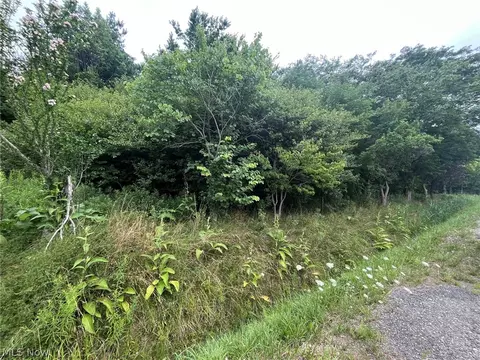 Buie Road, Kingsville, OH 44048