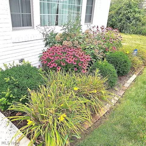 Other - 655 Cliffside Dr, Akron, OH 44313 photo 10 of 10