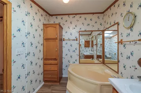 Bath - 77 Periwinkle Dr, Olmsted Twp, OH 44138 photo 3 of 5