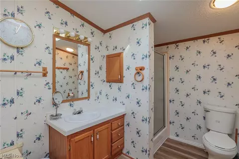 Bath - 77 Periwinkle Dr, Olmsted Twp, OH 44138 photo 4 of 5
