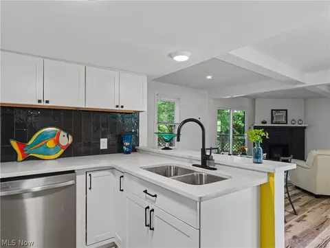 Kitchen - 260 E Pace Ave, Akron, OH 44319 photo 1 of 4