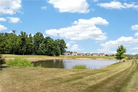 View/Area - 515 Mitchell Ct, Lagrange, OH 44050 photo 2 of 8