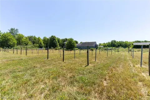Other - 4759 Ninevah Rd, Ashtabula, OH 44004 photo 26 of 31