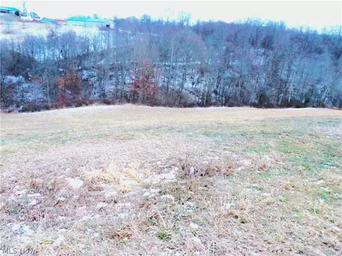 Other - Moore Ridge, Jerusalem, OH 43747 photo 5 of 13