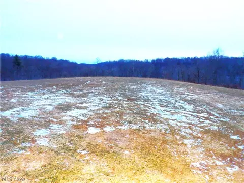 Other - Moore Ridge, Jerusalem, OH 43747 photo 7 of 13
