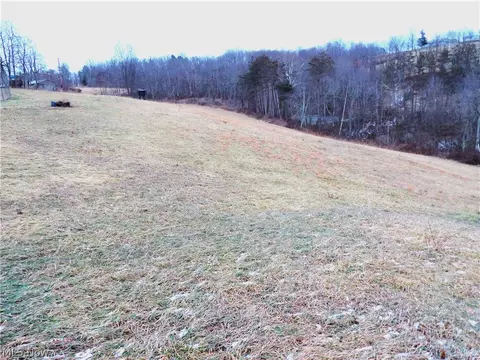 Other - Moore Ridge, Jerusalem, OH 43747 photo 6 of 13