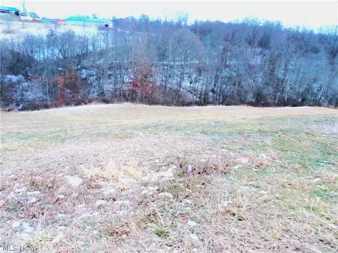 50877 Moore Rdg, Jerusalem, OH 43747 photo 7