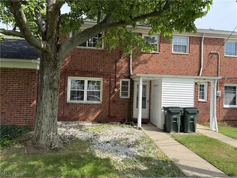 Exterior - 294 E 235th St, Euclid, OH 44123 photo 4 of 4