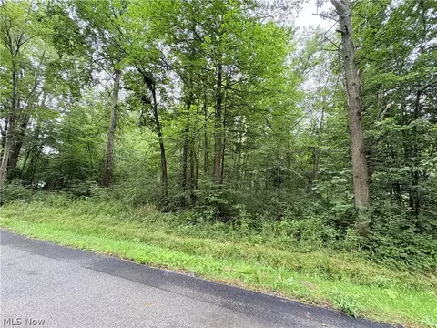 Bon Air Avenue Ne, Alliance, OH 44601