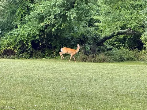 Other - 980 Killinger Rd, Clinton, OH 44216 photo 12 of 15