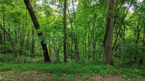 Windy Ridge, Dennison, OH 44621 photo 22