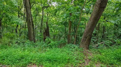 Windy Ridge, Dennison, OH 44621 photo 25