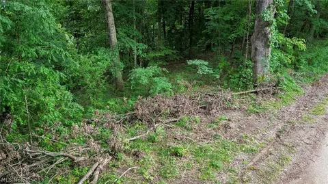 Windy Ridge, Dennison, OH 44621 photo 27