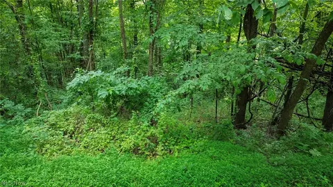 Windy Ridge, Dennison, OH 44621 photo 21