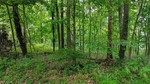 Windy Ridge, Dennison, OH 44621 photo 24