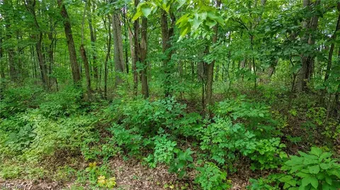Windy Ridge, Dennison, OH 44621 photo 23
