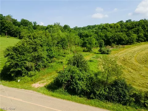 Cherry Run, Dundee, OH 44624 photo 2