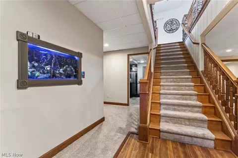 Entry Way - 4875 Tree Line Trl, New Middletown, OH 44442 photo 3 of 7