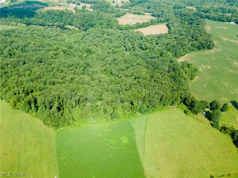 Cherry Run, Dundee, OH 44624 photo 22