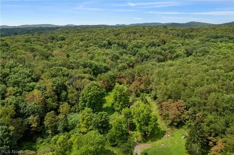 Buzzard Road, Wellsville, OH 43968