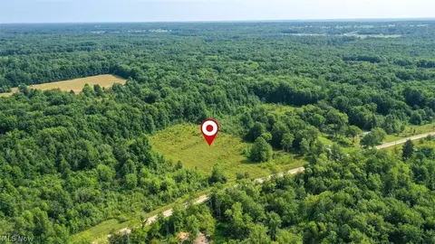 4523 Plank Rd, Orwell, OH 44076 photo 6