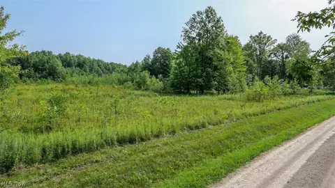 4523 Plank Rd, Orwell, OH 44076 photo 3