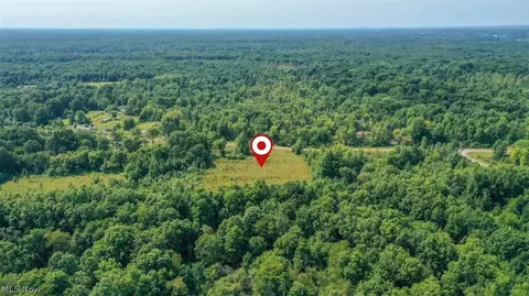 4523 Plank Rd, Orwell, OH 44076 photo 9