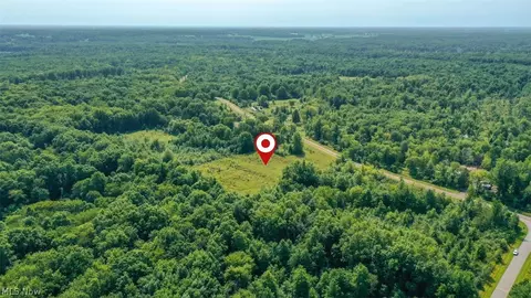 4523 Plank Rd, Orwell, OH 44076 photo 14