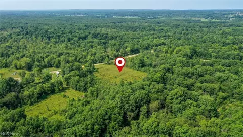4523 Plank Rd, Orwell, OH 44076 photo 11