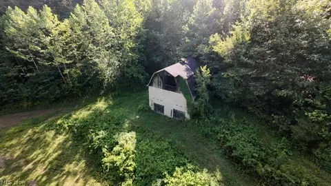 Exterior - 001 Mud Fork Rd, Chloe, WV 25235 photo 2 of 3