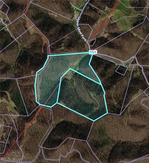 Other - 001 Mud Fork Rd, Chloe, WV 25235 photo 24 of 24