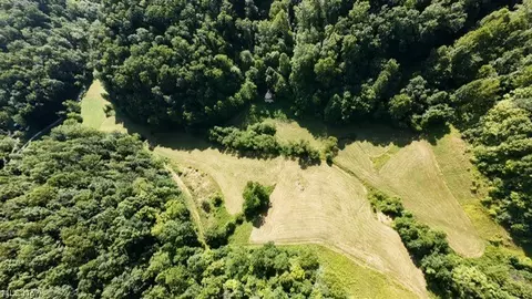 Other - 001 Mud Fork Rd, Chloe, WV 25235 photo 12 of 24