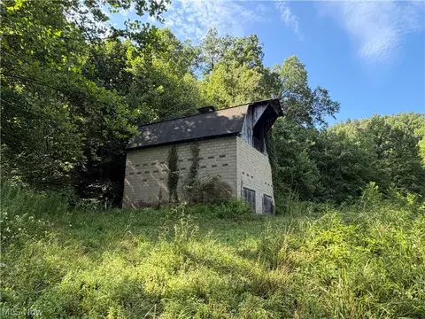 Other - 001 Mud Fork Rd, Chloe, WV 25235 photo 4 of 24