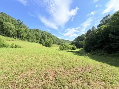 Other - 001 Mud Fork Rd, Chloe, WV 25235 photo 18 of 24
