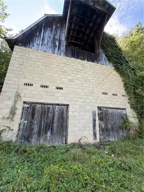 Other - 001 Mud Fork Rd, Chloe, WV 25235 photo 3 of 24