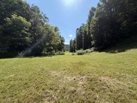 Other - 001 Mud Fork Rd, Chloe, WV 25235 photo 21 of 24
