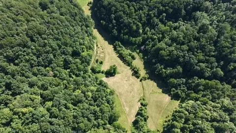 Other - 001 Mud Fork Rd, Chloe, WV 25235 photo 2 of 24