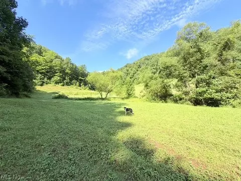 Other - 001 Mud Fork Rd, Chloe, WV 25235 photo 16 of 24