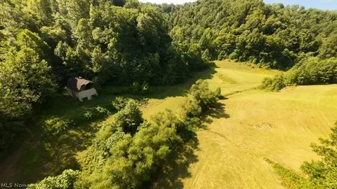Other - 001 Mud Fork Rd, Chloe, WV 25235 photo 10 of 24