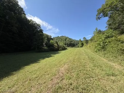 Other - 001 Mud Fork Rd, Chloe, WV 25235 photo 19 of 24