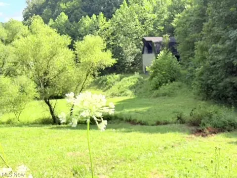 Exterior - 001 Mud Fork Rd, Chloe, WV 25235 photo 3 of 3