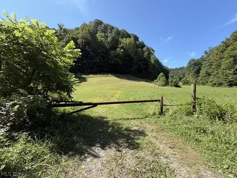 Other - 001 Mud Fork Rd, Chloe, WV 25235 photo 23 of 24