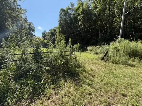 Other - 001 Mud Fork Rd, Chloe, WV 25235 photo 22 of 24