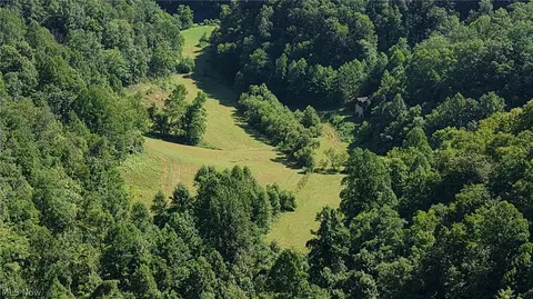 Other - 001 Mud Fork Rd, Chloe, WV 25235 photo 11 of 24