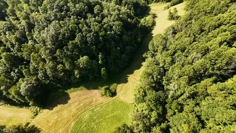 Other - 001 Mud Fork Rd, Chloe, WV 25235 photo 14 of 24