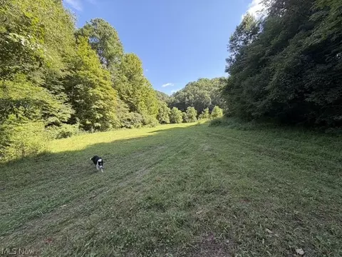 Other - 001 Mud Fork Rd, Chloe, WV 25235 photo 20 of 24