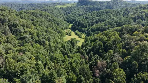 Other - 001 Mud Fork Rd, Chloe, WV 25235 photo 15 of 24