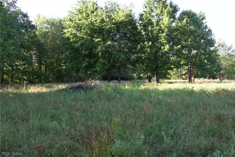 16145 Moseley Rd, Thompson, OH 44057