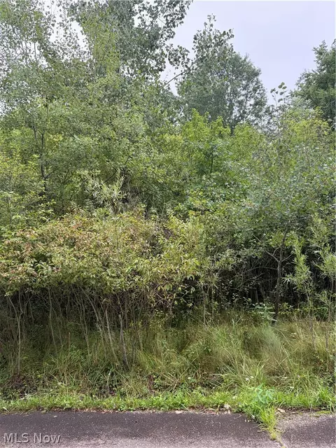 Eastview Avenue, Youngstown, OH 44505