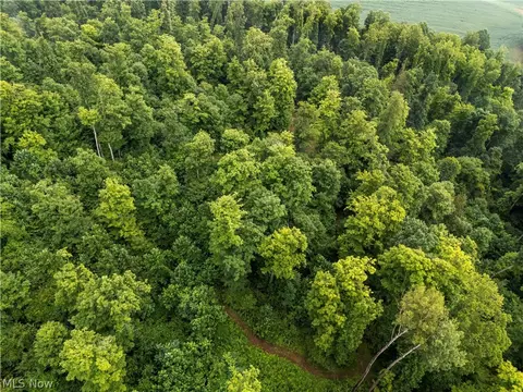 Other - 0 Township Road 252, Killbuck, OH 44637 photo 3 of 4